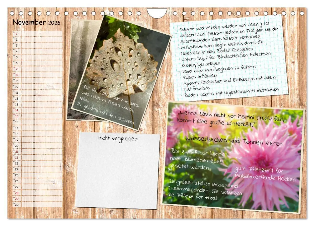 Bild: 9783457702840 | Was ist noch im Garten zu tun? (Wandkalender 2026 DIN A4 quer),...
