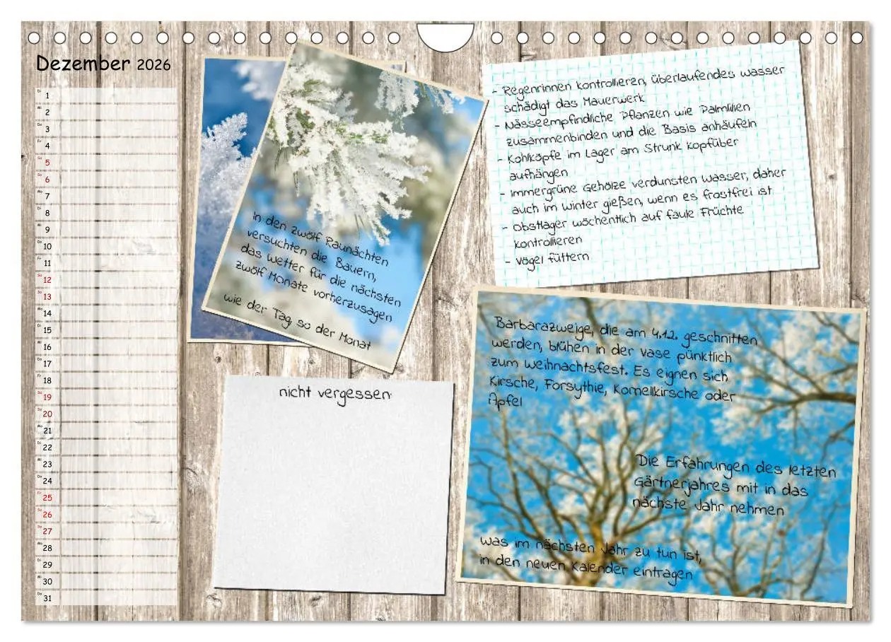 Bild: 9783457702840 | Was ist noch im Garten zu tun? (Wandkalender 2026 DIN A4 quer),...