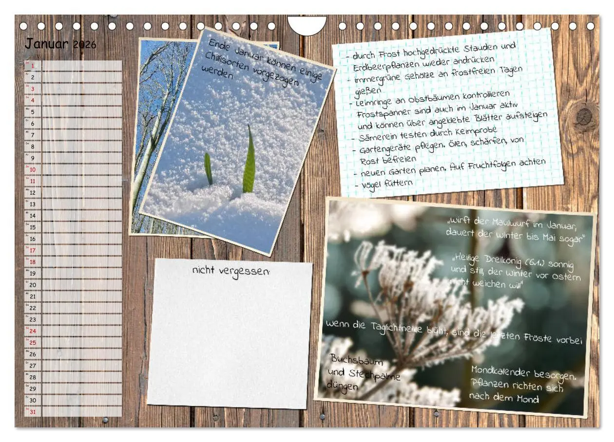 Bild: 9783457702840 | Was ist noch im Garten zu tun? (Wandkalender 2026 DIN A4 quer),...