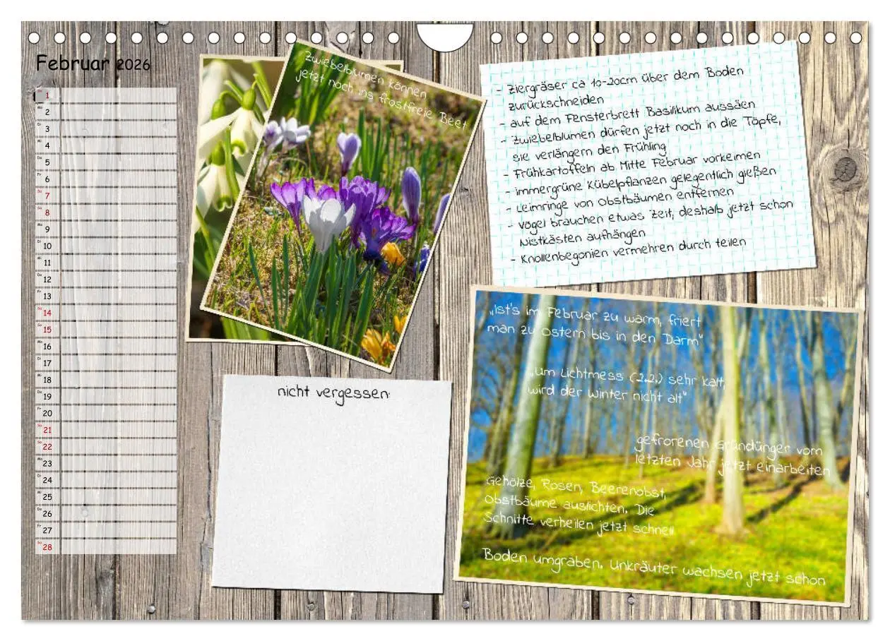 Bild: 9783457702840 | Was ist noch im Garten zu tun? (Wandkalender 2026 DIN A4 quer),...
