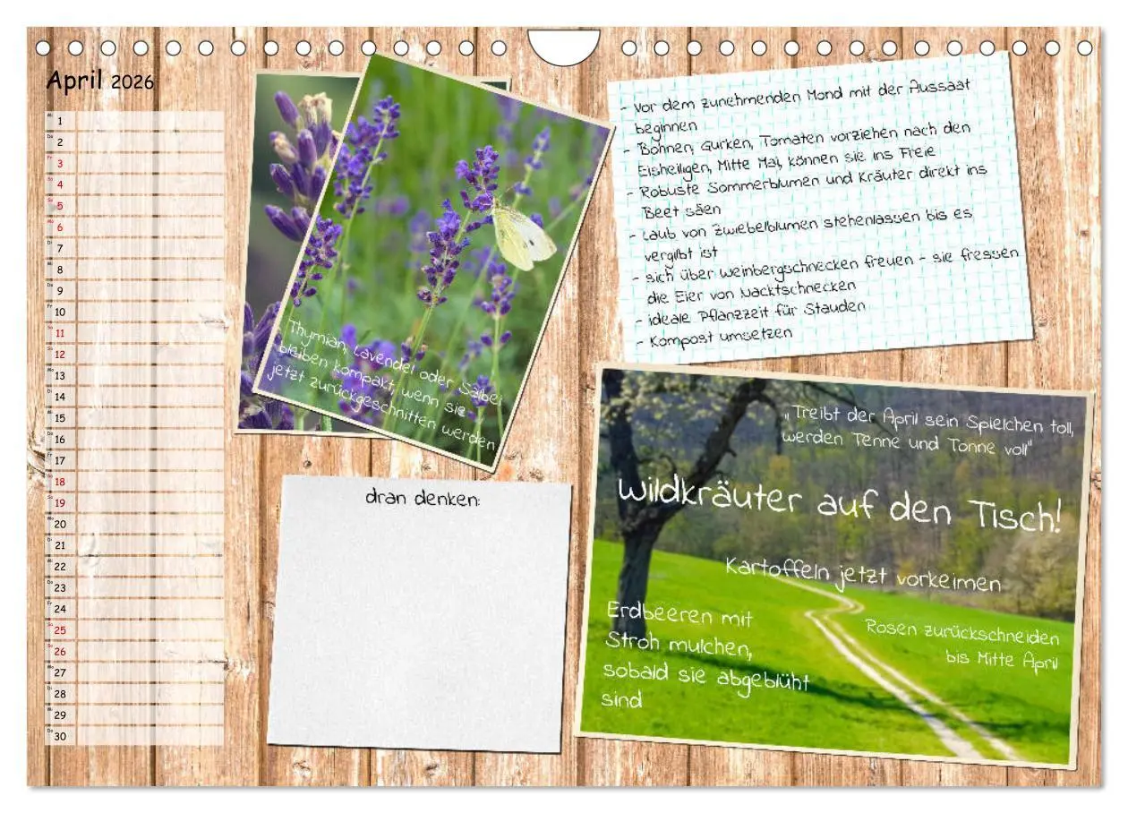 Bild: 9783457702840 | Was ist noch im Garten zu tun? (Wandkalender 2026 DIN A4 quer),...