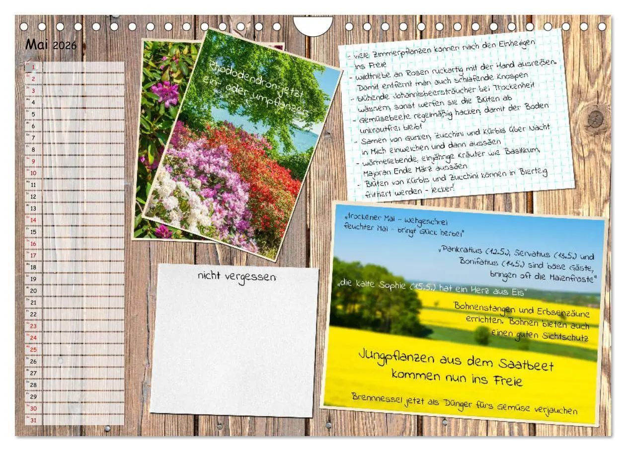 Bild: 9783457702840 | Was ist noch im Garten zu tun? (Wandkalender 2026 DIN A4 quer),...
