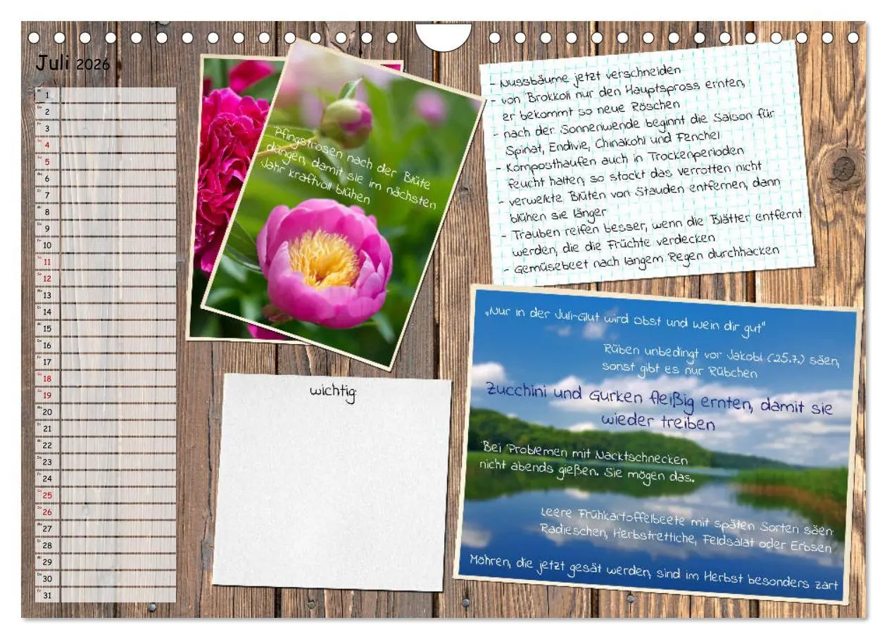 Bild: 9783457702840 | Was ist noch im Garten zu tun? (Wandkalender 2026 DIN A4 quer),...