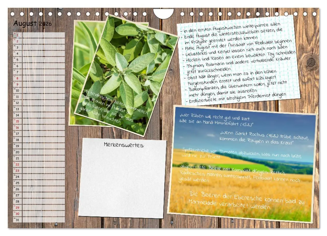 Bild: 9783457702840 | Was ist noch im Garten zu tun? (Wandkalender 2026 DIN A4 quer),...