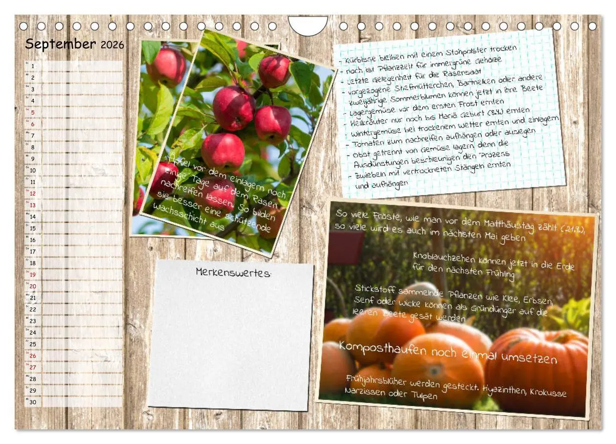Bild: 9783457702840 | Was ist noch im Garten zu tun? (Wandkalender 2026 DIN A4 quer),...