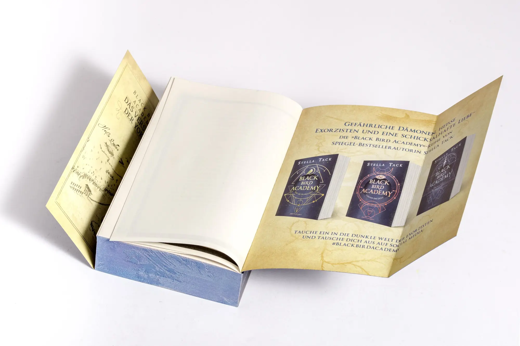 Bild: 9783764532840 | Black Bird Academy - Liebe den Tod | Stella Tack | Taschenbuch | 2025
