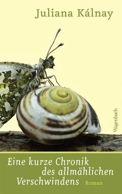 Cover: 9783803132840 | Eine kurze Chronik des allmählichen Verschwindens | Roman, Quartbuch