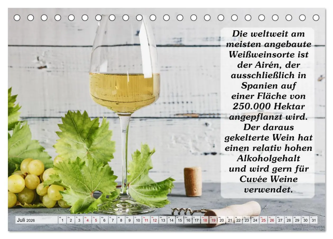Bild: 9783457622940 | Wissenswertes über Wein (Tischkalender 2026 DIN A5 quer), CALVENDO...