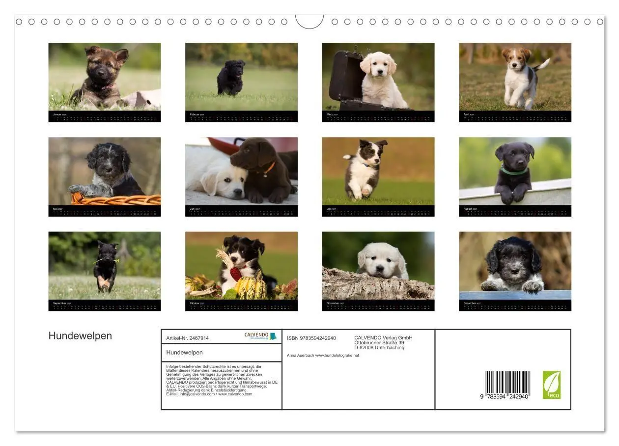 Bild: 9783594242940 | Hundewelpen (Wandkalender 2027 DIN A3 quer), CALVENDO Monatskalender