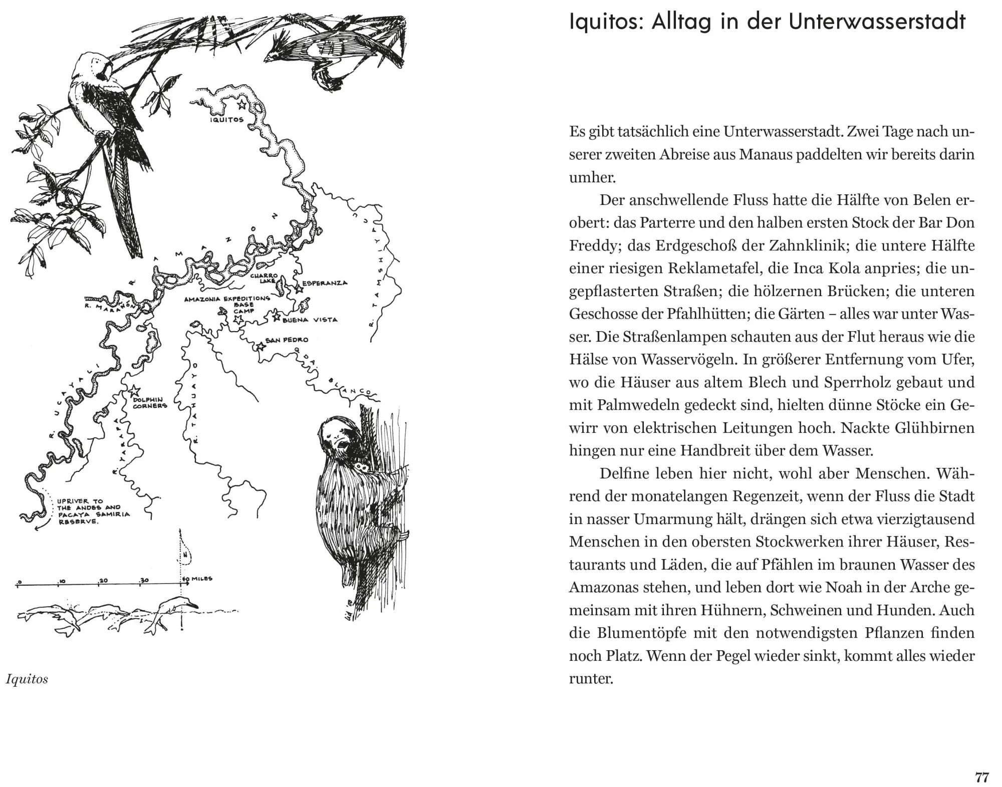 Bild: 9783959102940 | Der Ruf der rosa Delfine | Sy Montgomery | Buch | 272 S. | Deutsch