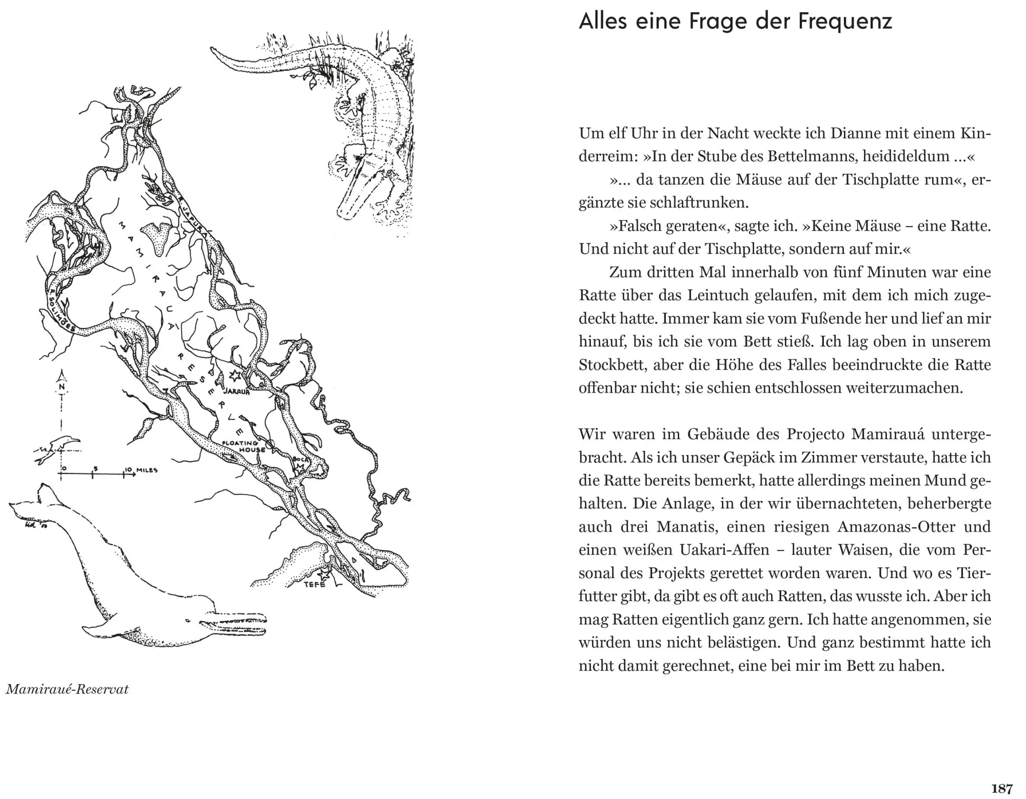 Bild: 9783959102940 | Der Ruf der rosa Delfine | Sy Montgomery | Buch | 272 S. | Deutsch