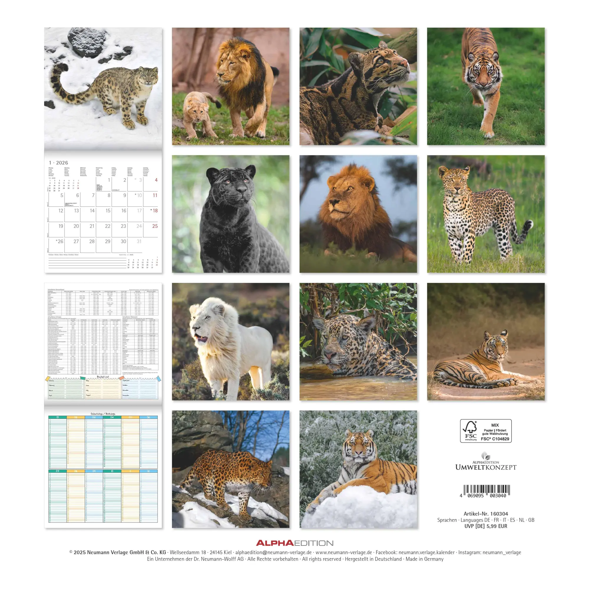 Rückseite: 4069095003040 | Big Cats 2026 - Broschürenkalender 30x30 cm (30x60 geöffnet) -...