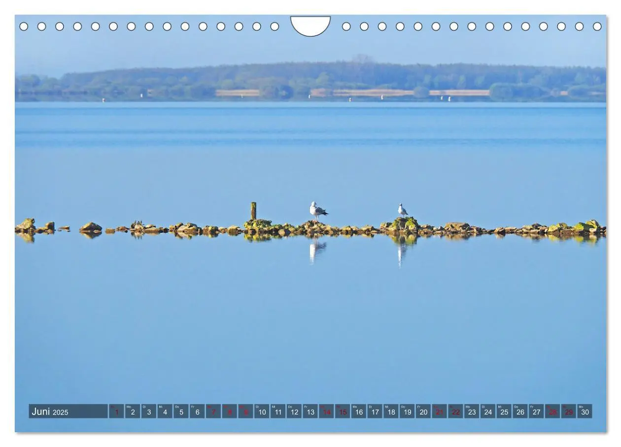 Bild: 9783383953040 | Dümmer, Malerische See-Momente (Wandkalender 2025 DIN A4 quer),...