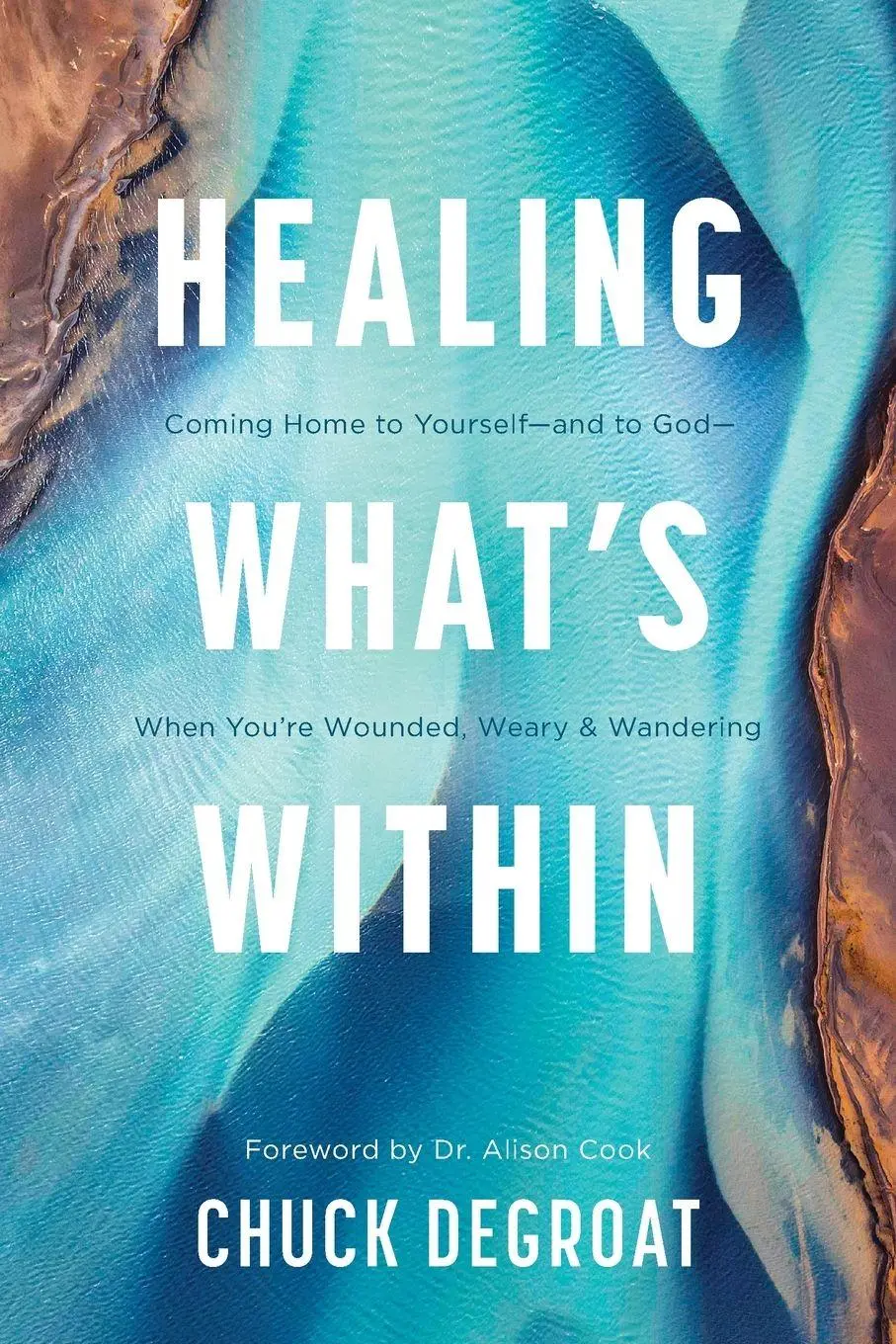 Cover: 9781496483140 | Healing What's Within | Chuck Degroat | Taschenbuch | Englisch | 2024