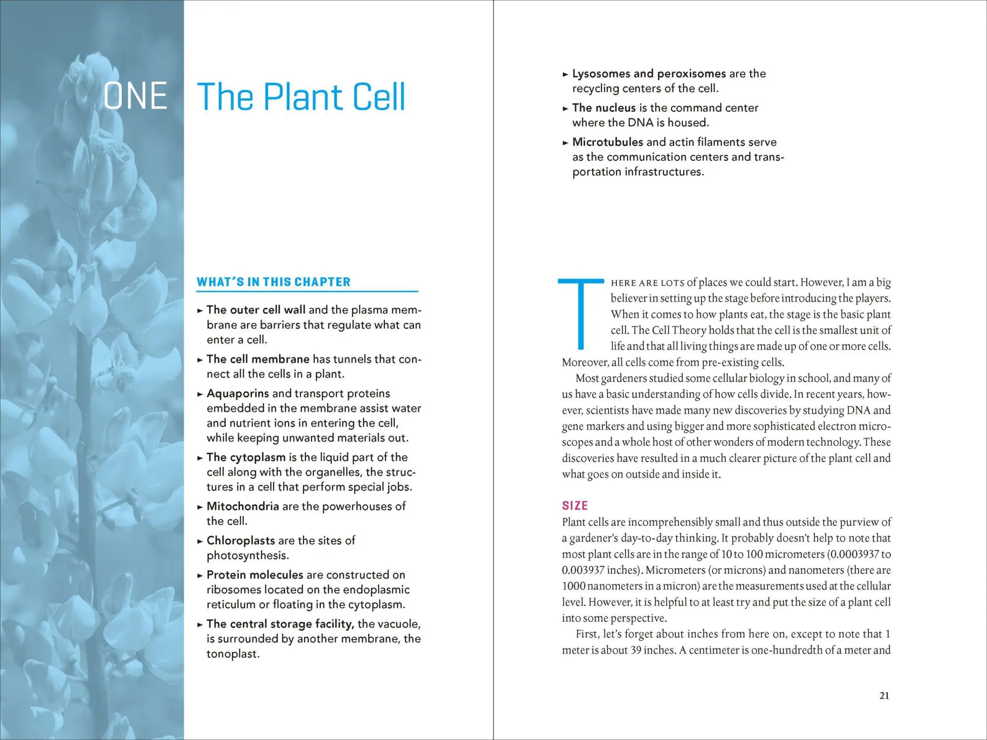 Bild: 9781604693140 | Teaming with Nutrients | Jeff Lowenfels | Buch | Gebunden | Englisch