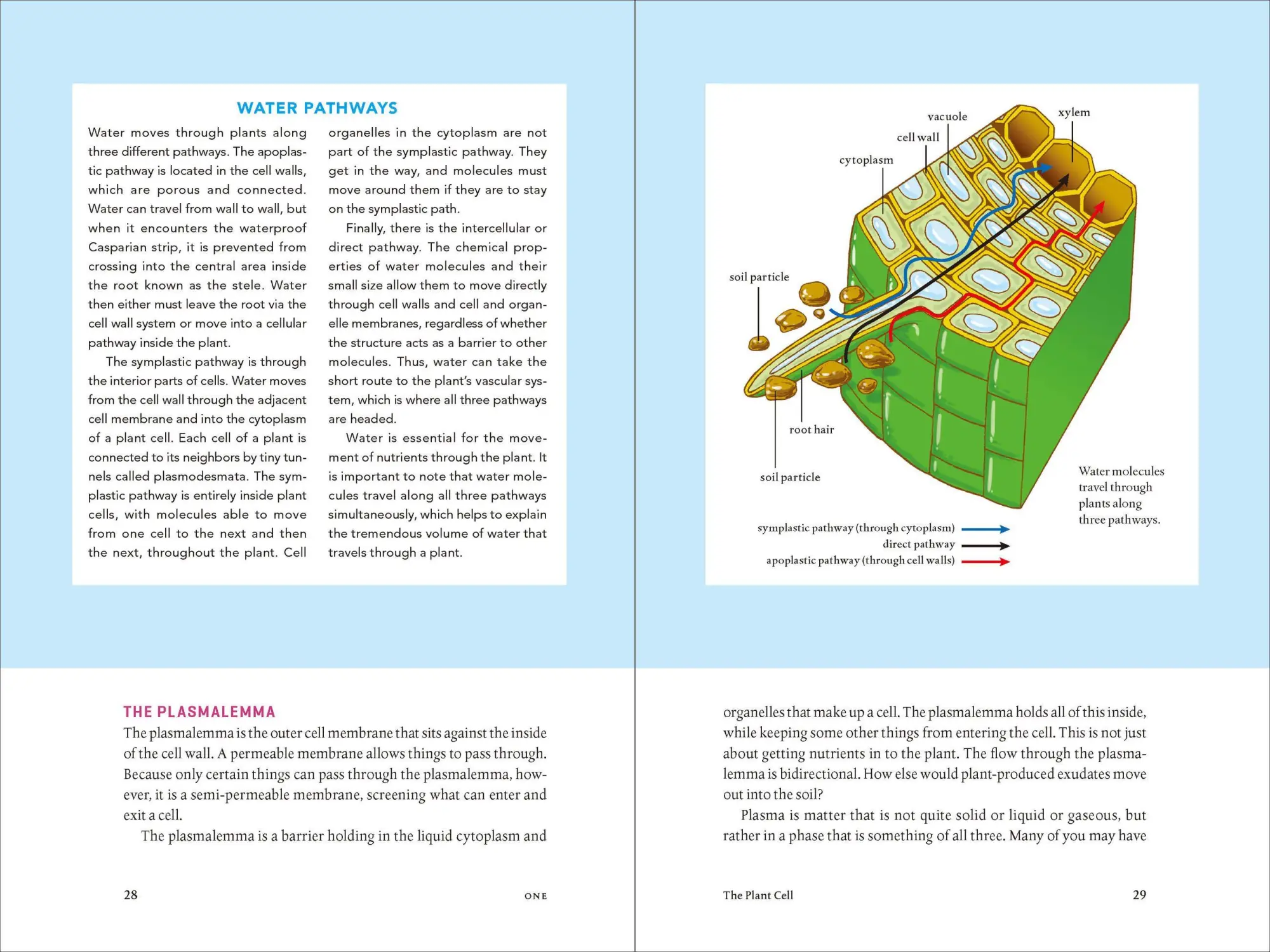 Bild: 9781604693140 | Teaming with Nutrients | Jeff Lowenfels | Buch | Gebunden | Englisch