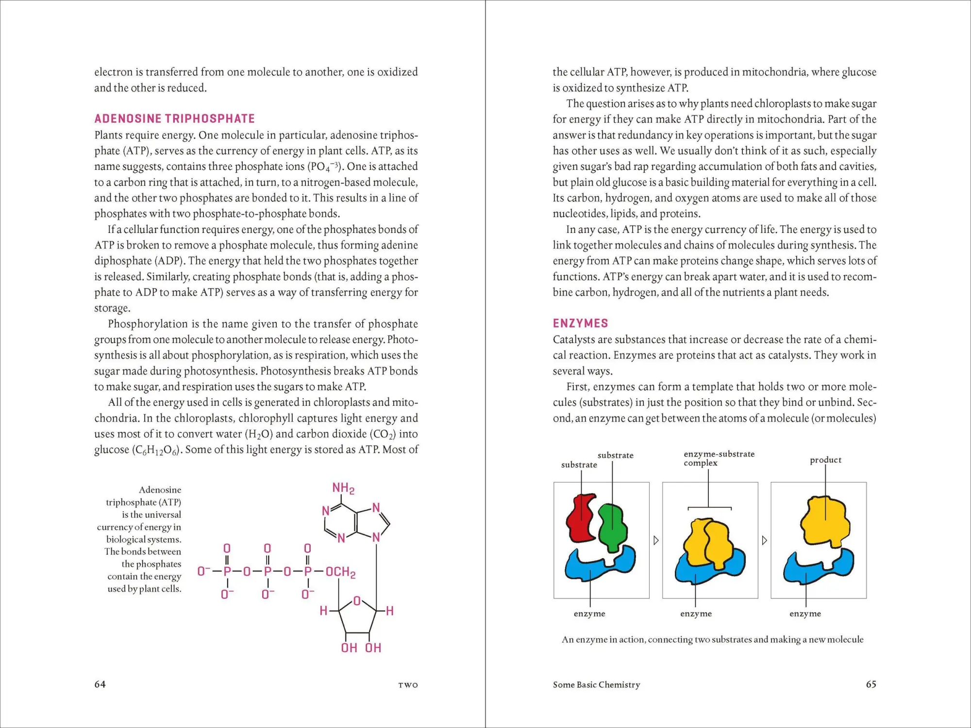Bild: 9781604693140 | Teaming with Nutrients | Jeff Lowenfels | Buch | Gebunden | Englisch