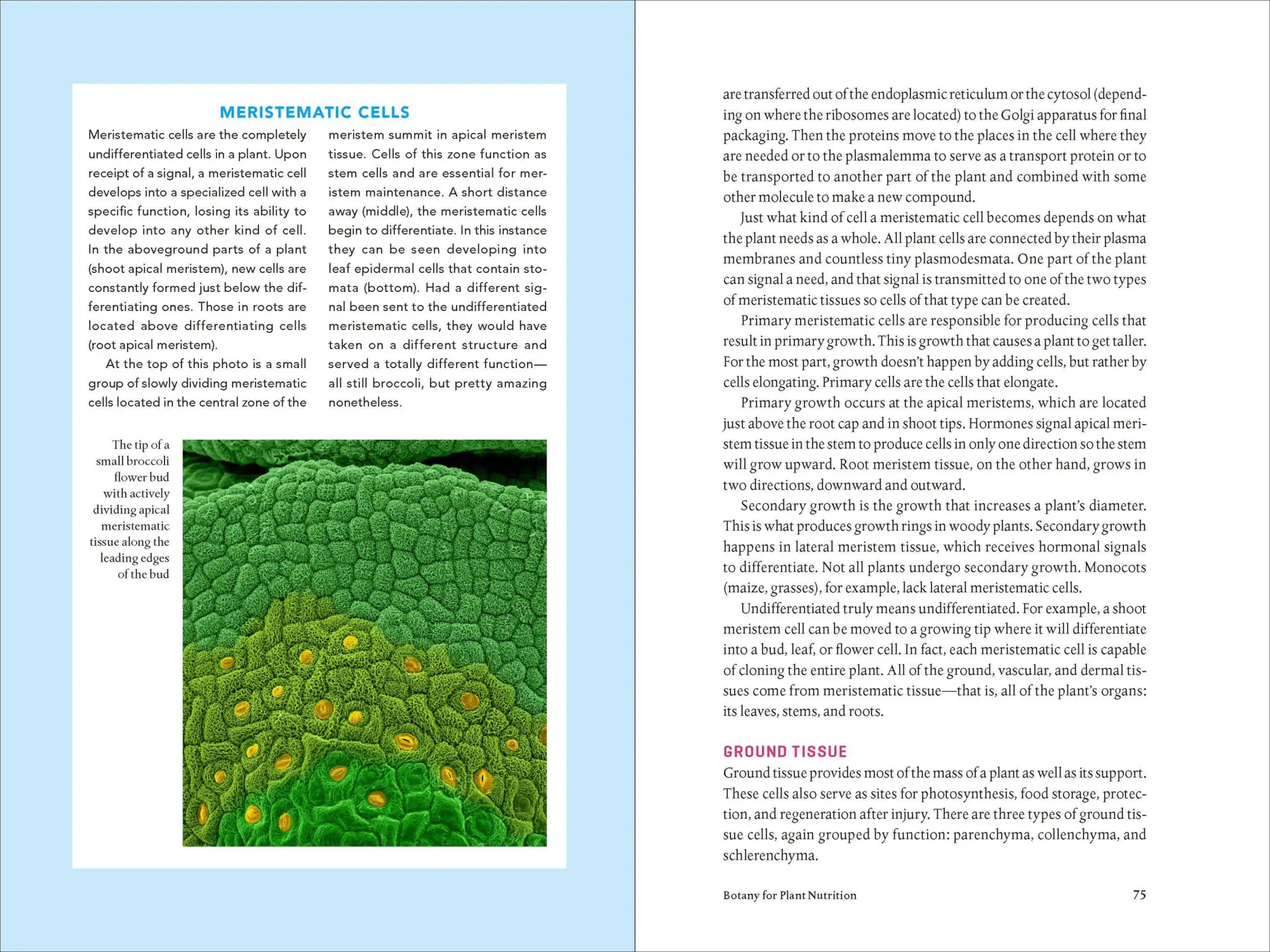 Bild: 9781604693140 | Teaming with Nutrients | Jeff Lowenfels | Buch | Gebunden | Englisch