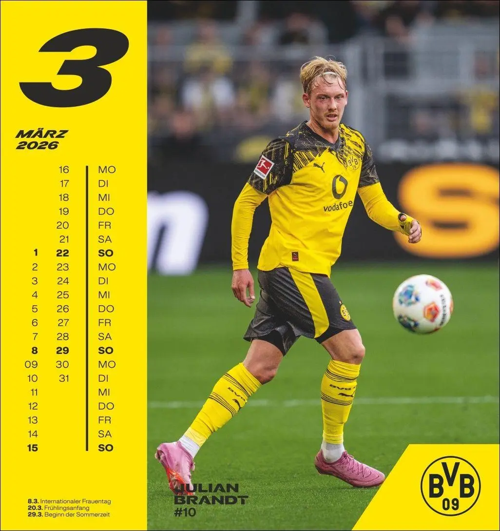 Bild: 9783756413140 | BVB Postkartenkalender 2026 | Heye | Kalender | Spiralbindung | 13 S.