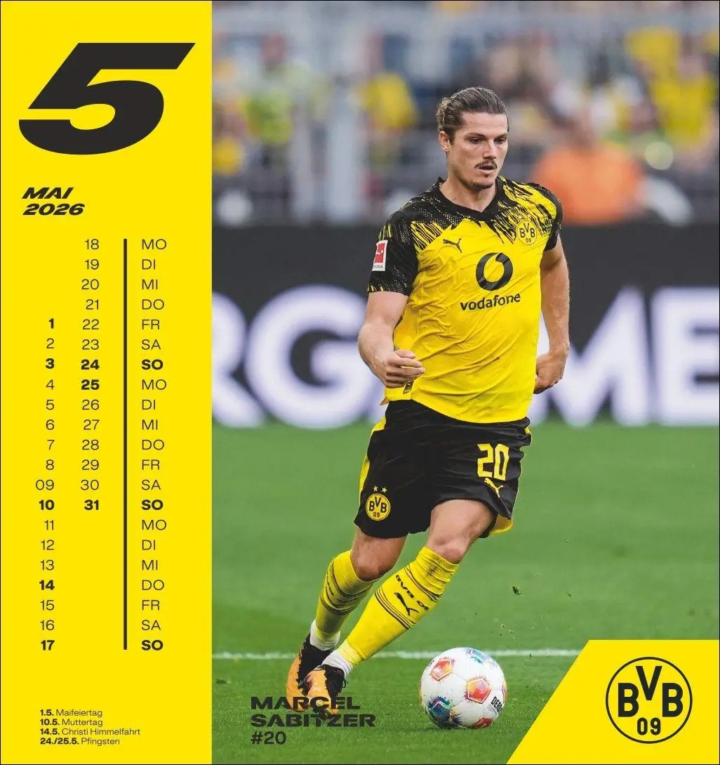 Bild: 9783756413140 | BVB Postkartenkalender 2026 | Heye | Kalender | Spiralbindung | 13 S.