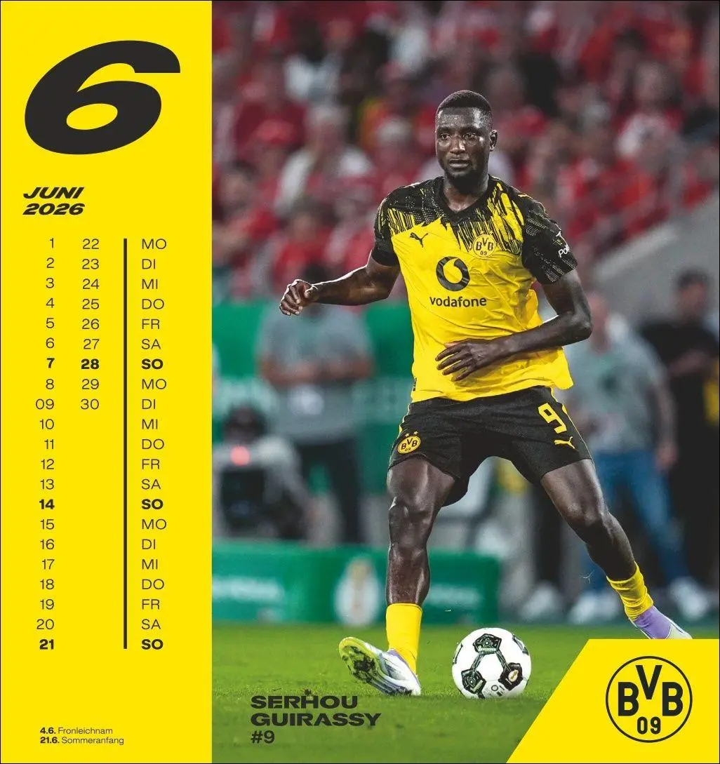 Bild: 9783756413140 | BVB Postkartenkalender 2026 | Heye | Kalender | Spiralbindung | 13 S.