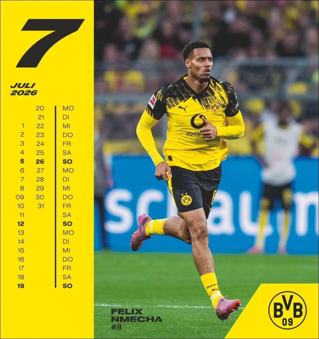 Bild: 9783756413140 | BVB Postkartenkalender 2026 | Heye | Kalender | Spiralbindung | 13 S.