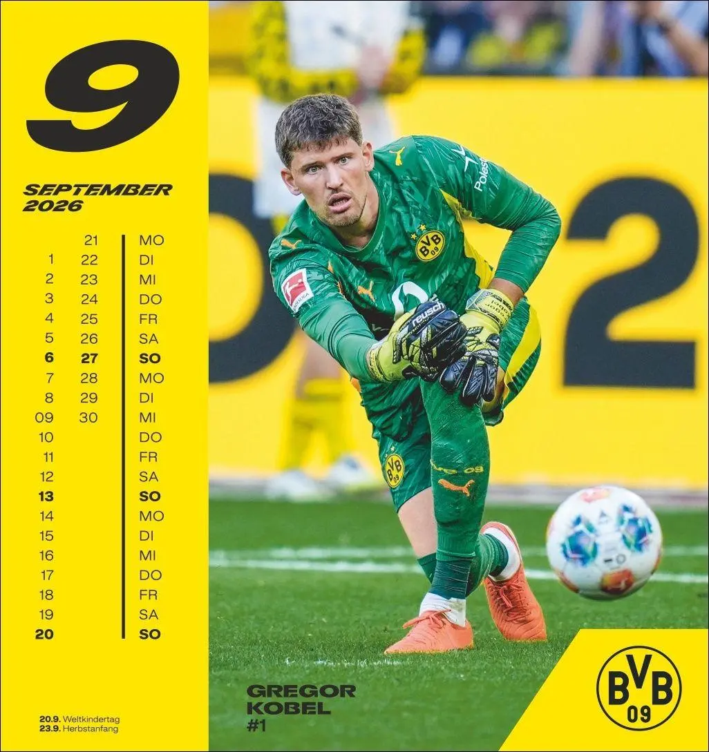 Bild: 9783756413140 | BVB Postkartenkalender 2026 | Heye | Kalender | Spiralbindung | 13 S.