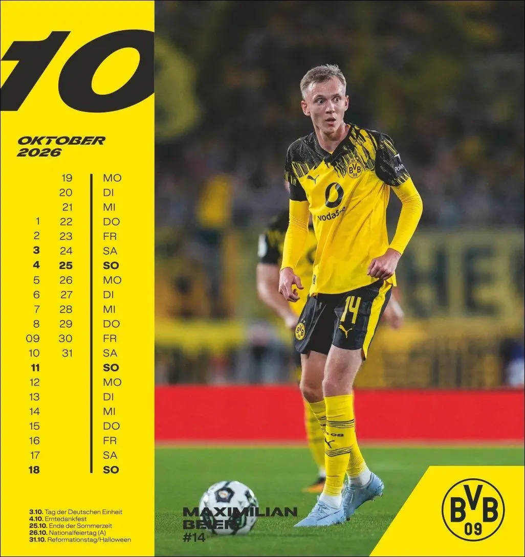 Bild: 9783756413140 | BVB Postkartenkalender 2026 | Heye | Kalender | Spiralbindung | 13 S.