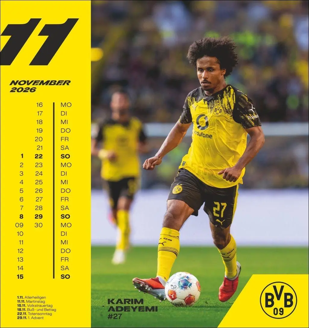 Bild: 9783756413140 | BVB Postkartenkalender 2026 | Heye | Kalender | Spiralbindung | 13 S.