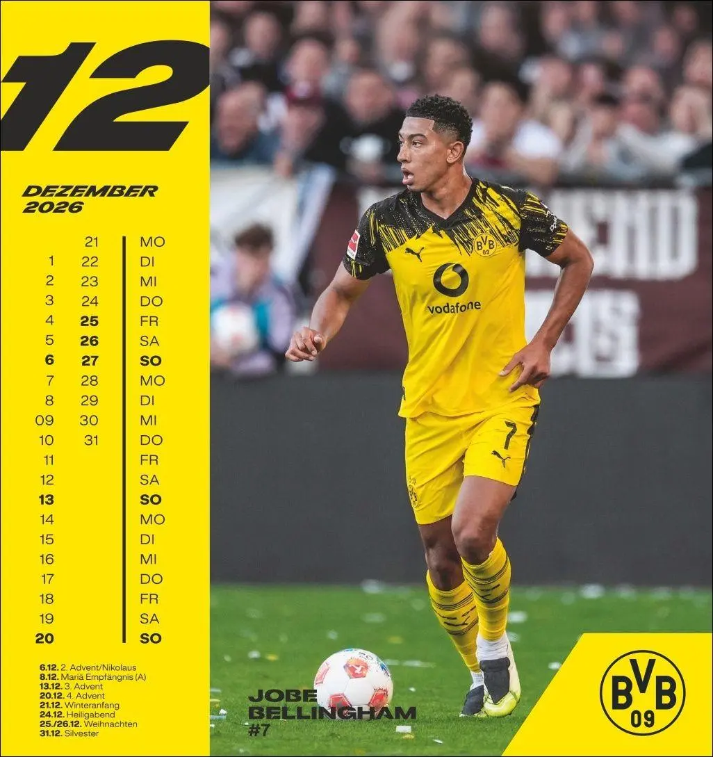 Bild: 9783756413140 | BVB Postkartenkalender 2026 | Heye | Kalender | Spiralbindung | 13 S.