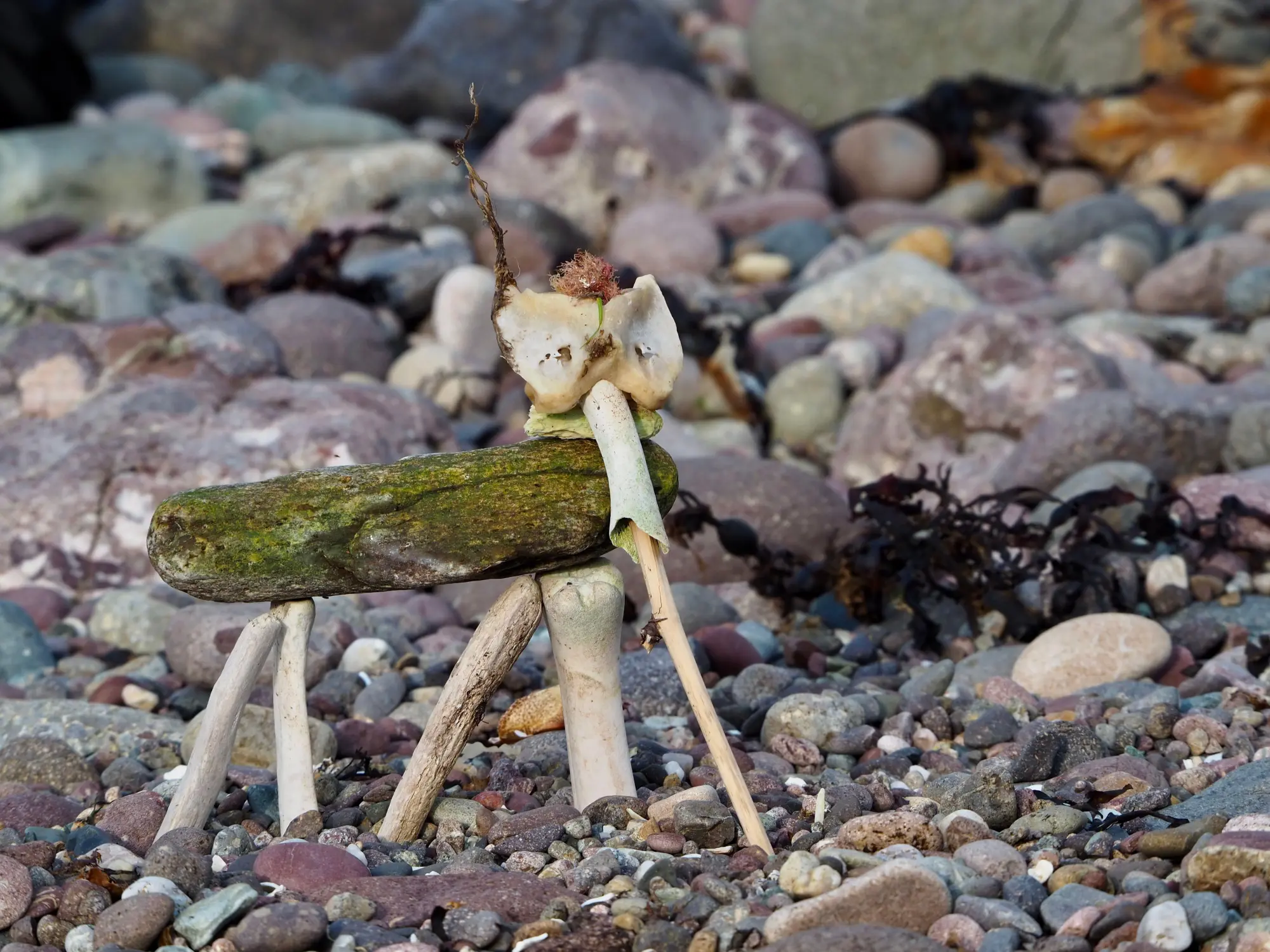 Bild: 9783039023240 | Stranding | Herumstrandernd die Welt entdecken | Andrew Bond | Buch