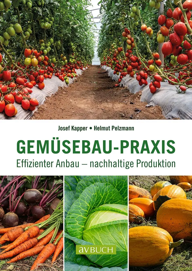 Cover: 9783840483240 | Gemüsebau-Praxis | Effizienter Anbau - nachhaltige Produktion | Buch