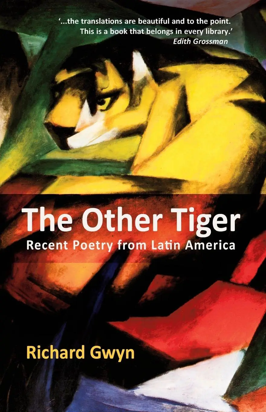 Cover: 9781781723340 | The Other Tiger | Richard Gwyn | Taschenbuch | Kartoniert / Broschiert