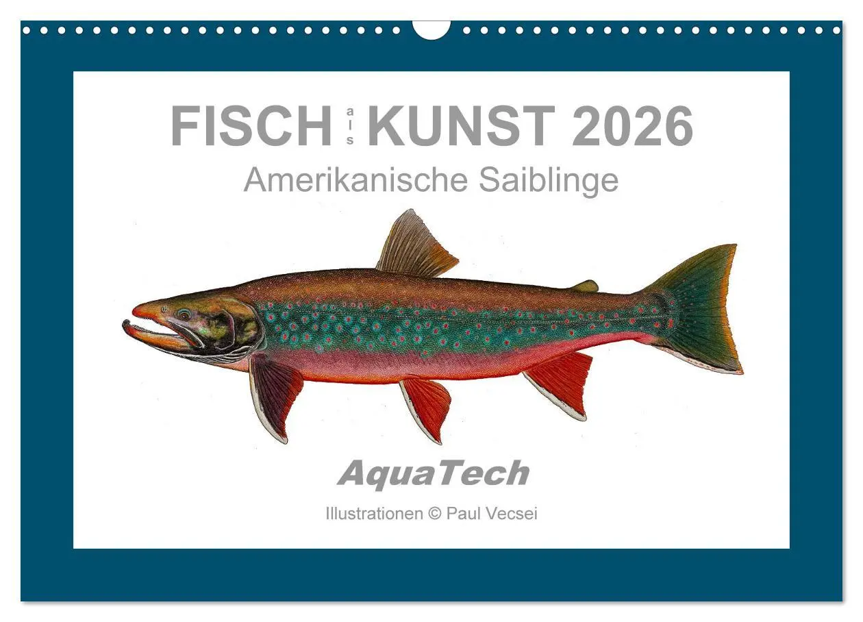 Cover: 9783516503340 | Fisch als Kunst 2026: Amerikanische Saiblinge (Wandkalender 2026...
