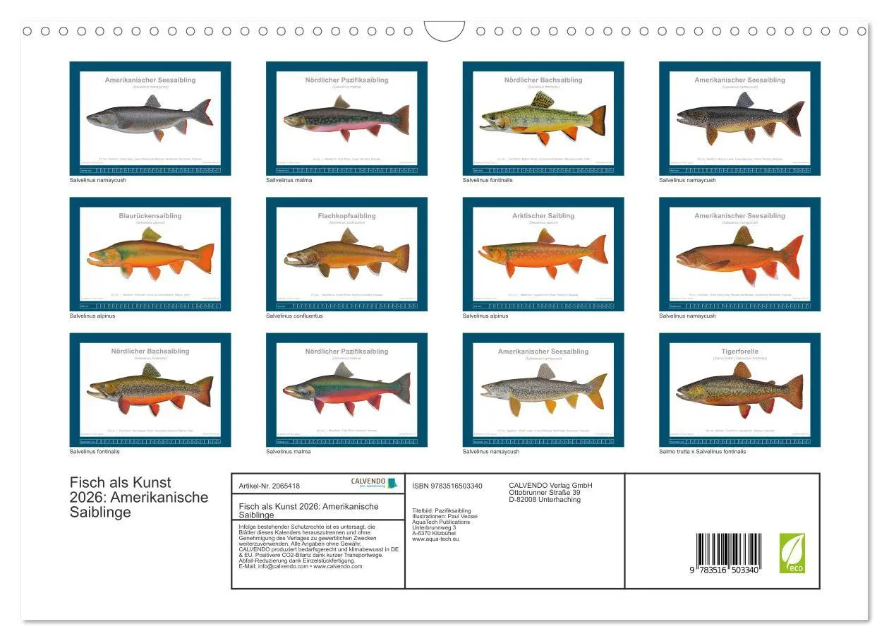Bild: 9783516503340 | Fisch als Kunst 2026: Amerikanische Saiblinge (Wandkalender 2026...