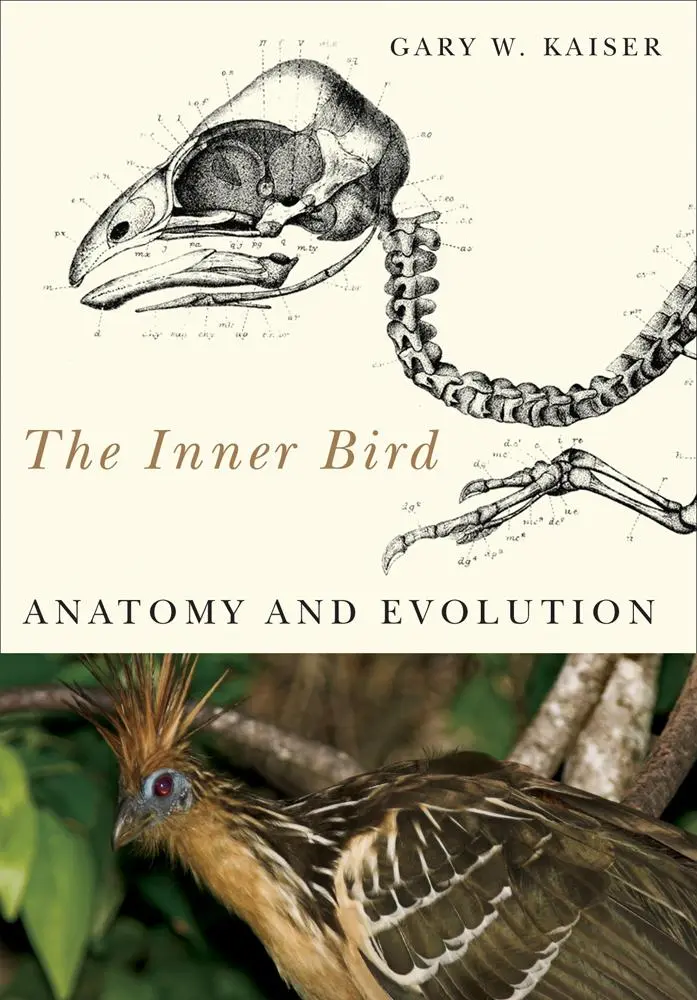Cover: 9780774813440 | The Inner Bird | Anatomy and Evolution | Gary W Kaiser | Taschenbuch