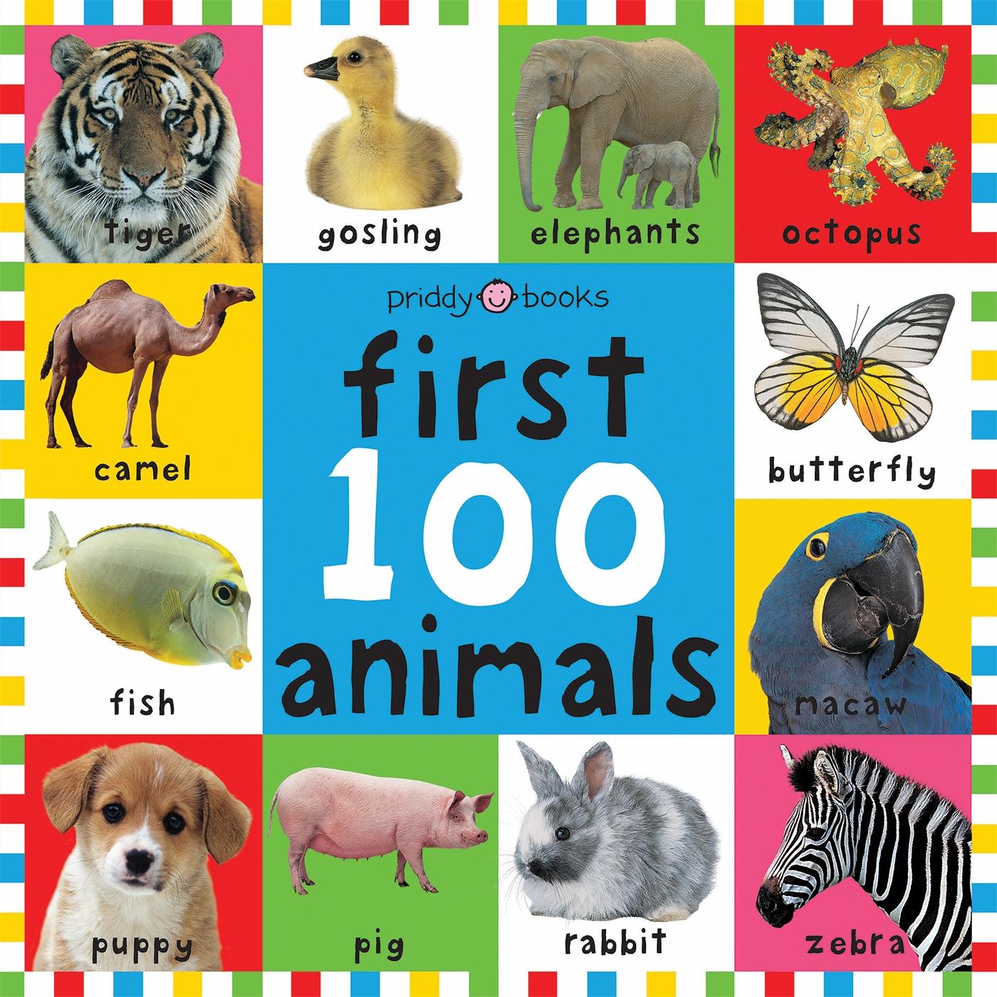 Cover: 9781843323440 | First 100 Animals | Priddy Books (u. a.) | Buch | Gebunden | Englisch