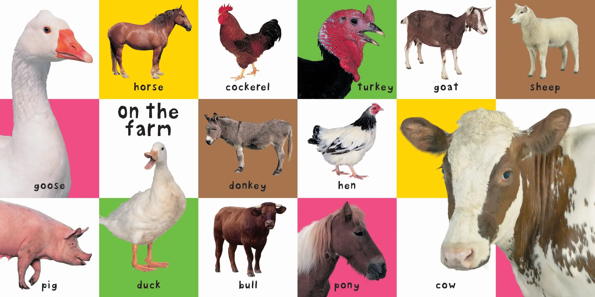 Bild: 9781843323440 | First 100 Animals | Priddy Books (u. a.) | Buch | Gebunden | Englisch