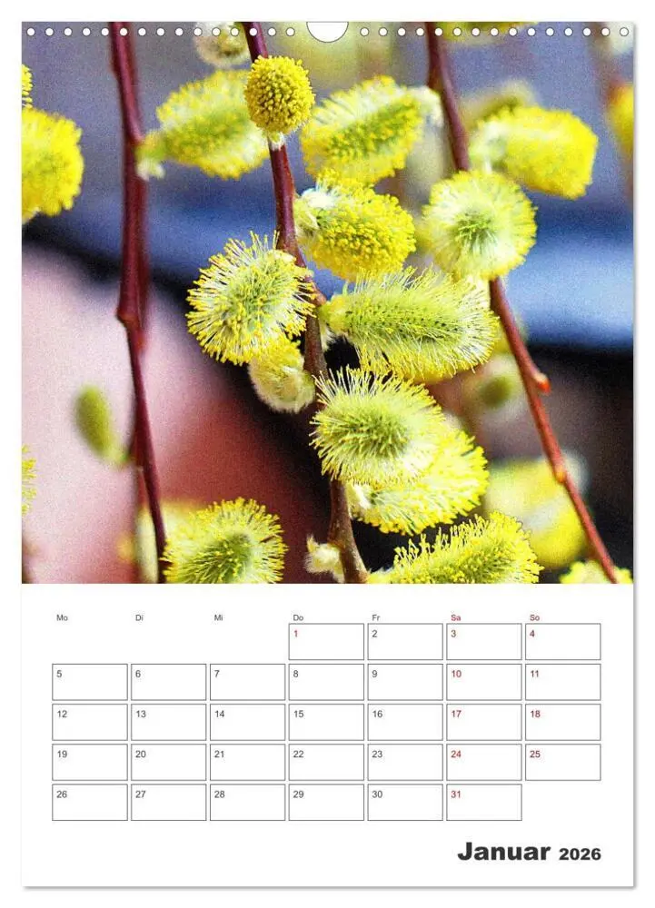 Bild: 9783516353440 | BLÜTENZAUBER (Wandkalender 2026 DIN A3 hoch), CALVENDO Monatskalender