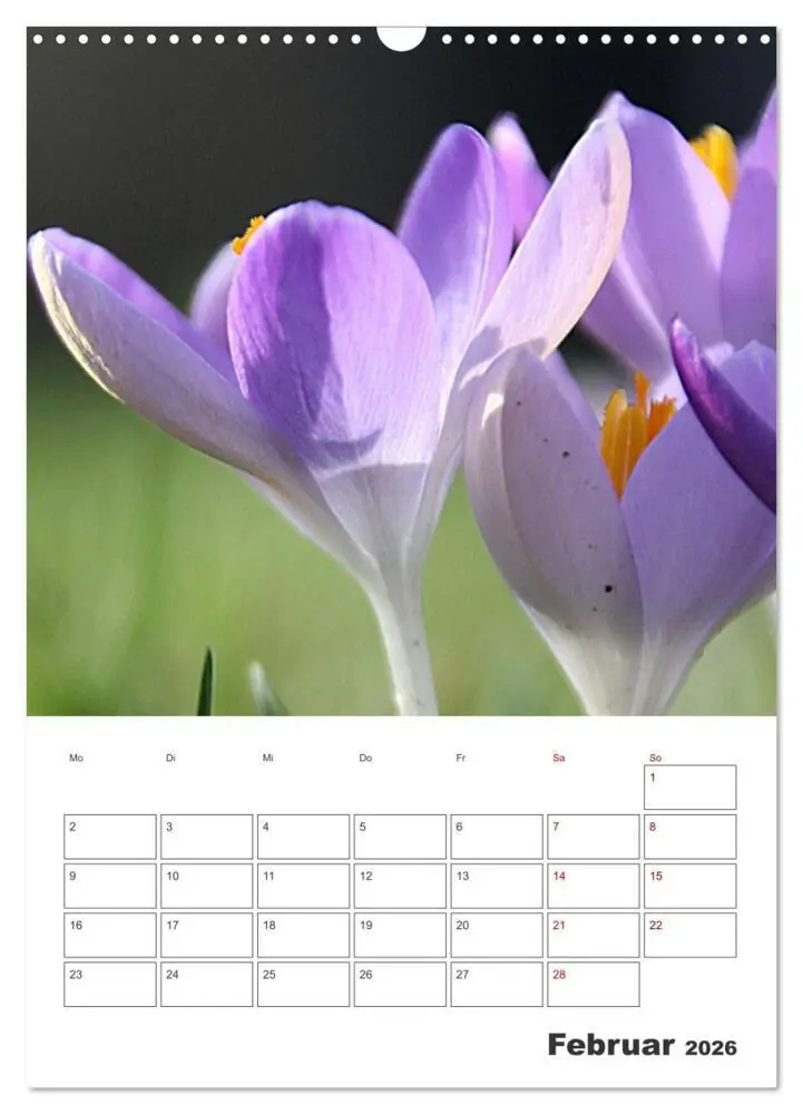 Bild: 9783516353440 | BLÜTENZAUBER (Wandkalender 2026 DIN A3 hoch), CALVENDO Monatskalender