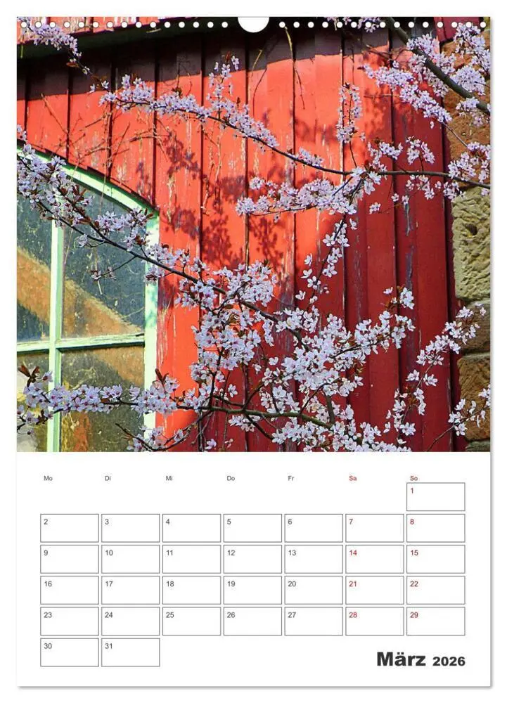 Bild: 9783516353440 | BLÜTENZAUBER (Wandkalender 2026 DIN A3 hoch), CALVENDO Monatskalender
