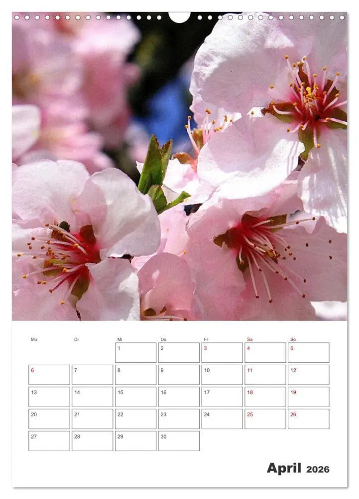 Bild: 9783516353440 | BLÜTENZAUBER (Wandkalender 2026 DIN A3 hoch), CALVENDO Monatskalender