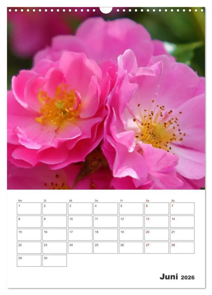 Bild: 9783516353440 | BLÜTENZAUBER (Wandkalender 2026 DIN A3 hoch), CALVENDO Monatskalender