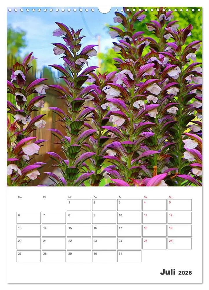Bild: 9783516353440 | BLÜTENZAUBER (Wandkalender 2026 DIN A3 hoch), CALVENDO Monatskalender