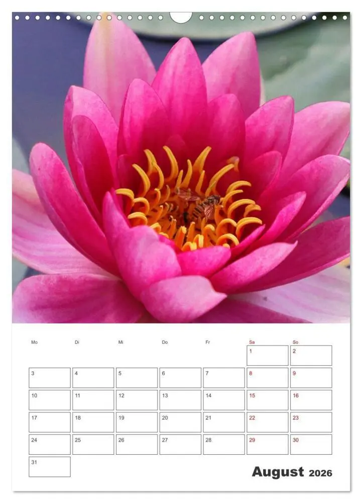 Bild: 9783516353440 | BLÜTENZAUBER (Wandkalender 2026 DIN A3 hoch), CALVENDO Monatskalender