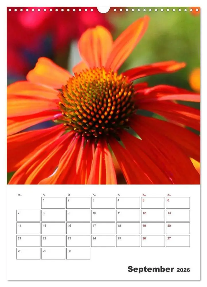Bild: 9783516353440 | BLÜTENZAUBER (Wandkalender 2026 DIN A3 hoch), CALVENDO Monatskalender