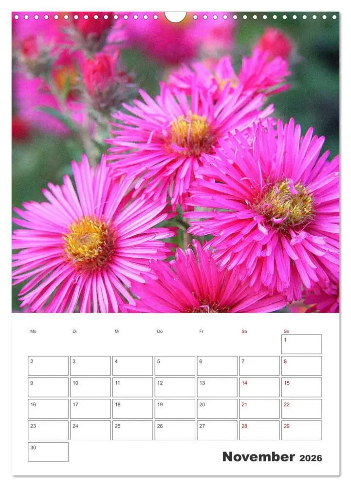 Bild: 9783516353440 | BLÜTENZAUBER (Wandkalender 2026 DIN A3 hoch), CALVENDO Monatskalender