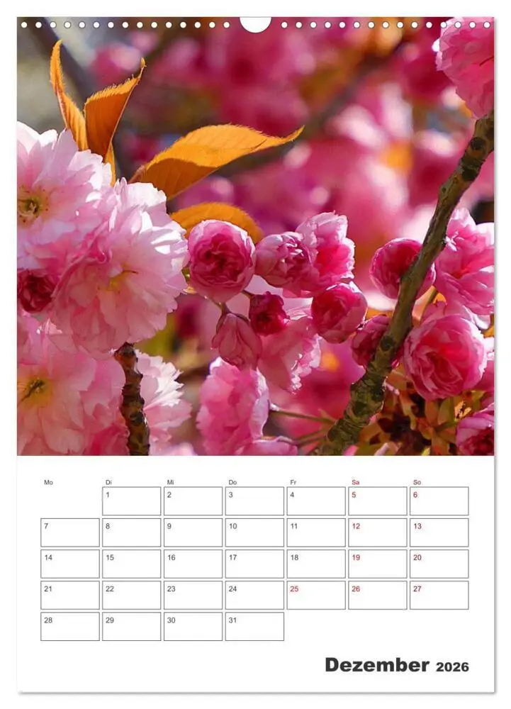 Bild: 9783516353440 | BLÜTENZAUBER (Wandkalender 2026 DIN A3 hoch), CALVENDO Monatskalender