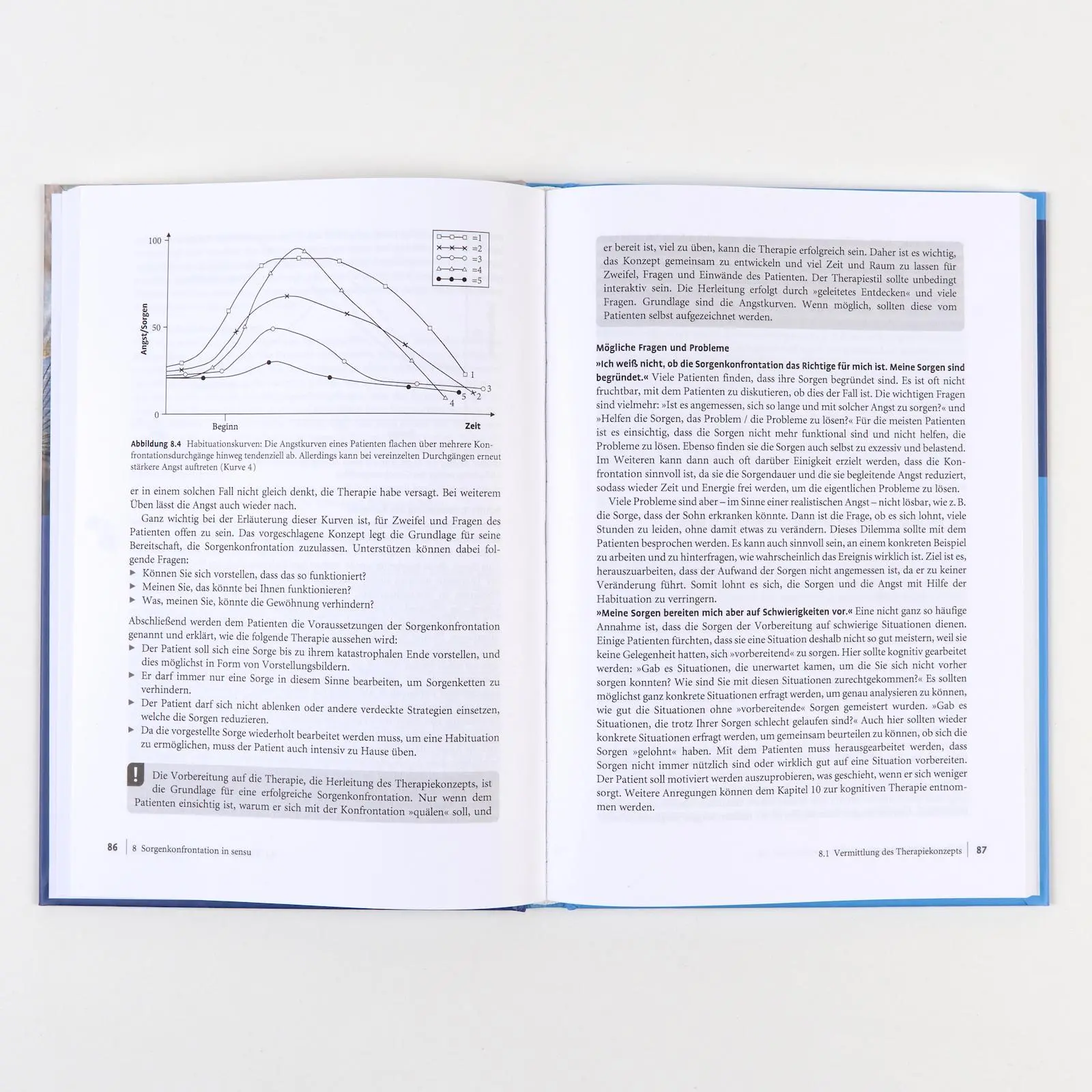 Bild: 9783621293440 | Generalisierte Angststörung | Eni Becker (u. a.) | Buch | 1 Buch