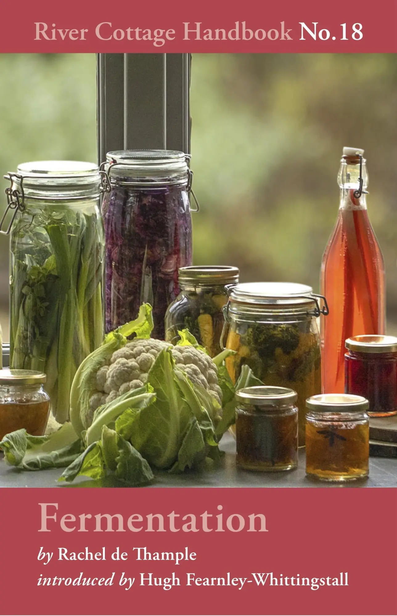 Cover: 9781408873540 | Fermentation | River Cottage Handbook No.18 | Rachel De Thample | Buch